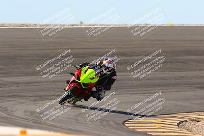 media/Jan-13-2024-SoCal Trackdays (Sat) [[9c032fe5aa]]/Bowl Exit Set 2 (1135am)/